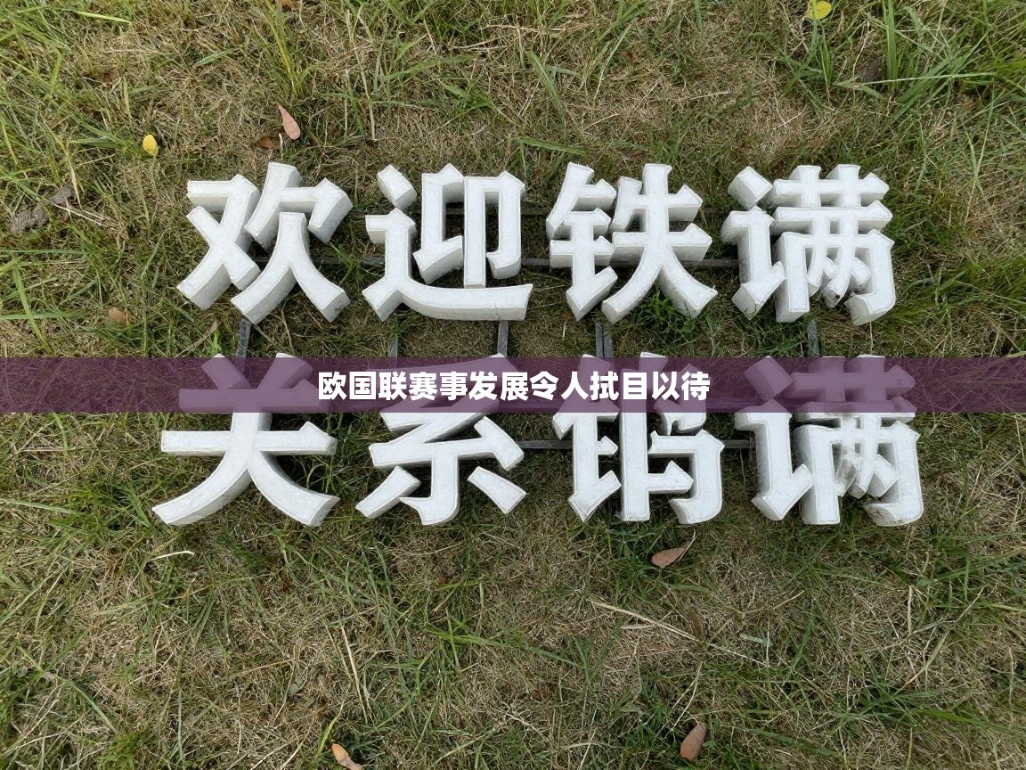 欧国联赛事发展令人拭目以待 第2张